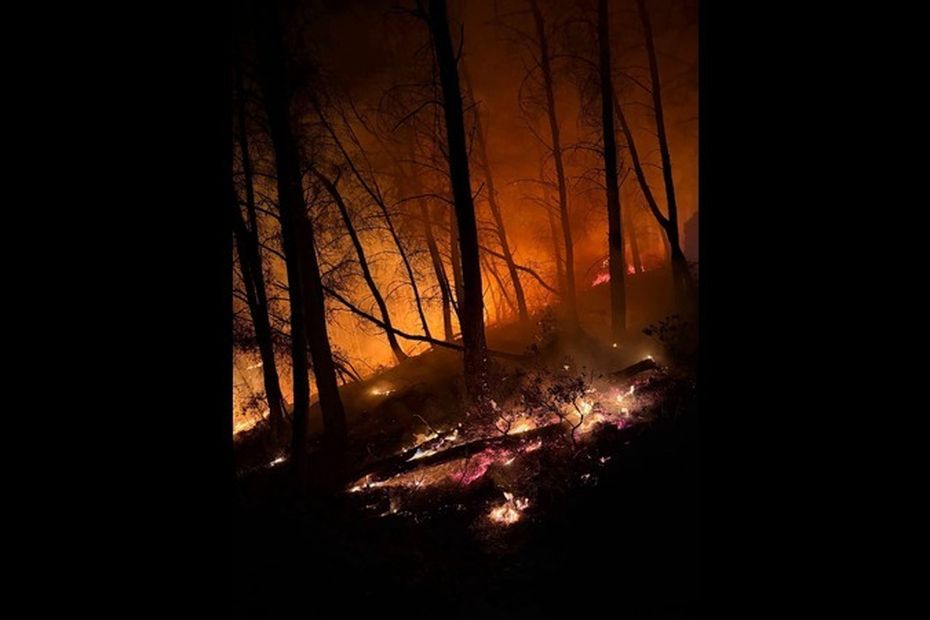 Incendie déclenché par un feu d’artifice sauvage, trois mineurs interpellés par la Ville.