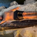 Un pêcheur capture un silure de 2,33 mètres après 20 minutes de combat dans la Loire.