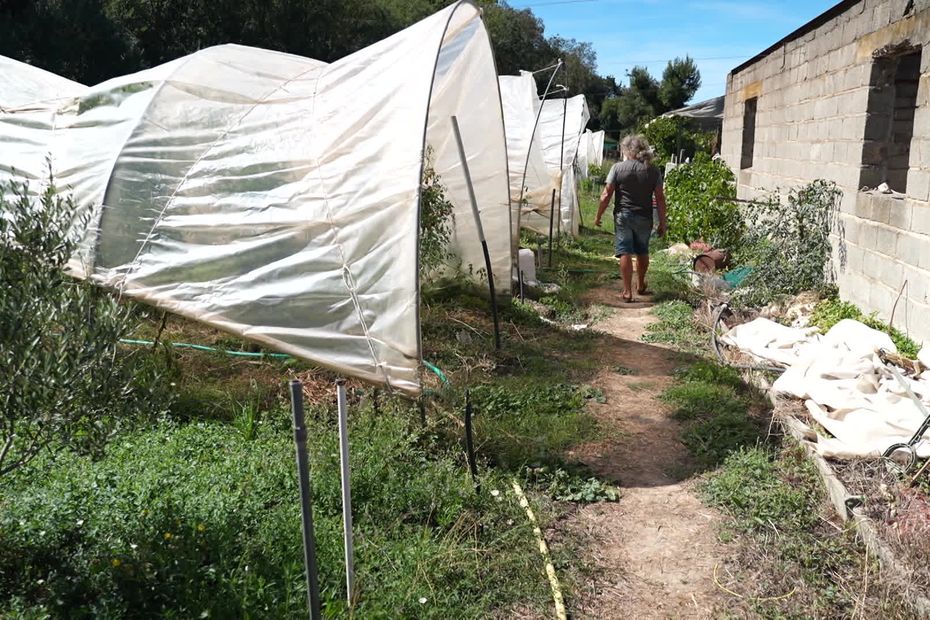 Aide d’1 milliard d’euros aux agriculteurs perçue comme insuffisante pour la crise actuelle