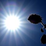 Aucun département du sud-est de la France en vigilance orange canicule selon Météo-France.