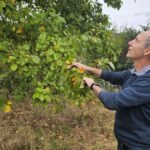 Bretagne : risque de fermeture des robinets en raison d’une sécheresse historique