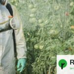Pesticides : des études révèlent des risques pour la santé même à doses légales
