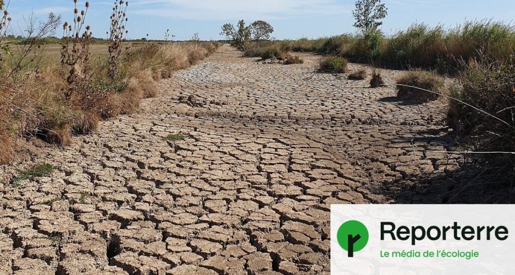 Haut-Commissariat au plan alerte sur l’urgence climatique et ses conséquences.