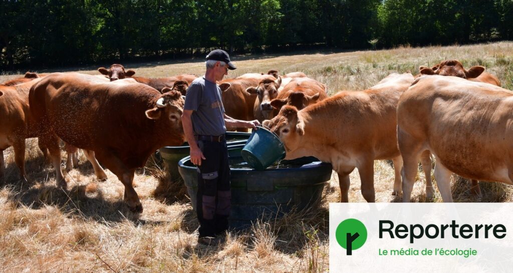 La Cour des comptes critique la Politique agricole commune pour son inefficacité budgétaire.