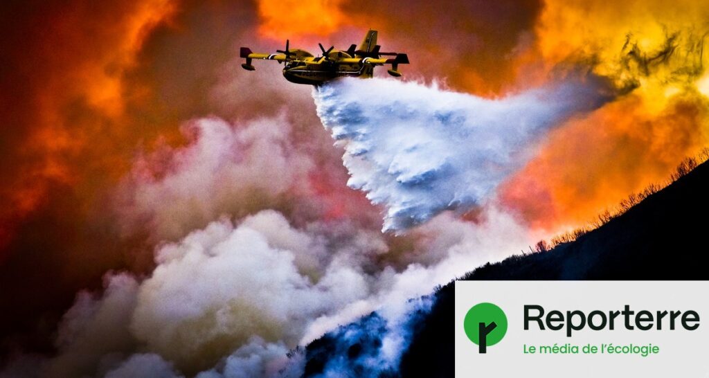 622 000 hectares brûlés en Europe : une carte des incendies révélée