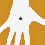 Un album-photo pour enfants explore les thèmes de la facilité et de la difficulté