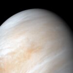 Vénus apparaît sous la forme d’un croissant, observation possible cette semaine.