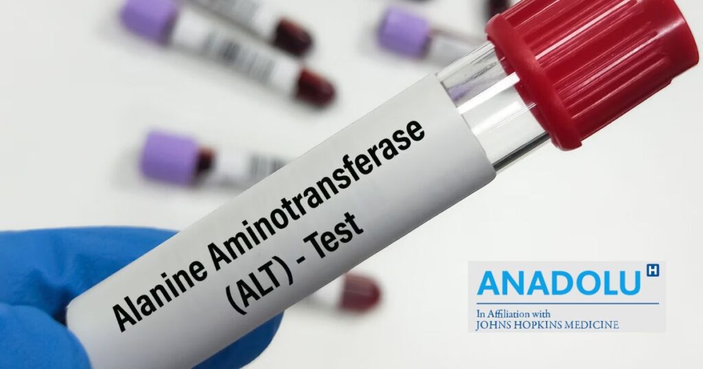 Taux d’ALT anormal : implications pour la santé hépatique en France.