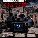 Carcassonne : quand les réseaux du RN croisent les institutions de la République