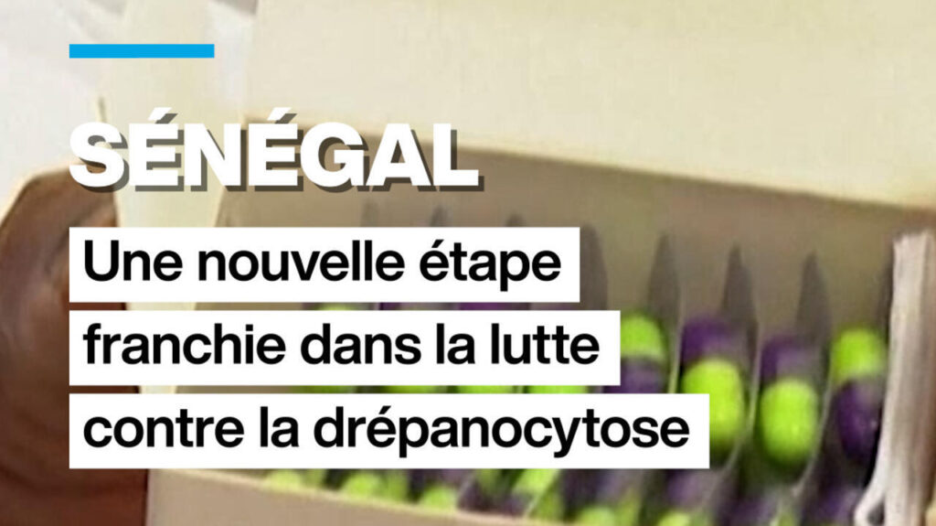 Sénégal : avancées significatives dans la lutte contre la drépanocytose