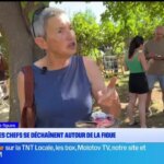 Réunion de l’ONU sur le climat : nouvelles mesures proposées par les États-Unis et la France.