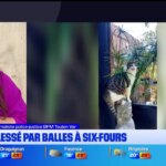Émission de nouvelles sur les tensions géopolitiques entre pays européens et conséquences économiques.
