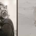 Les Rencontres d&rsquo;Arles explorent les liens entre chiens, loups et autres espèces animales.