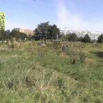 61.000 hectares de friches recensés, dont la moitié en zones tendues pour l&rsquo;habitat
