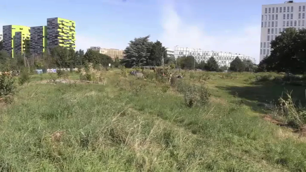 61.000 hectares de friches recensés, dont la moitié en zones tendues pour l’habitat