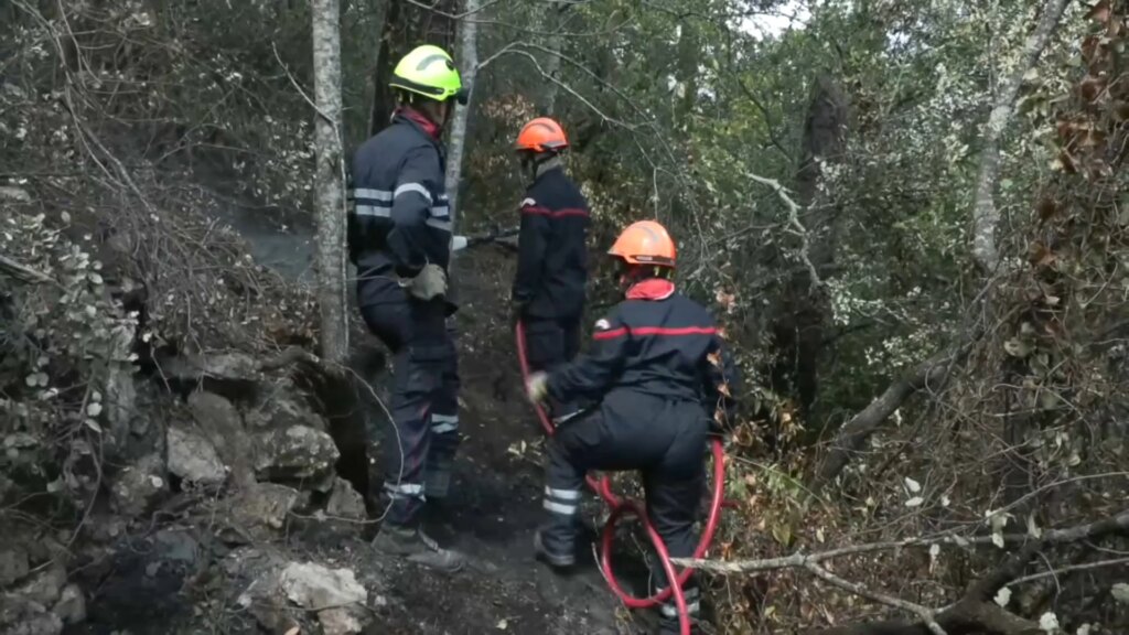 Incendies dans le Var : interdiction de la chasse pendant un an dans les zones touchées