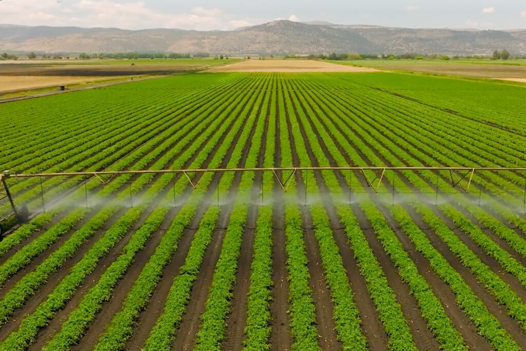 MIT développe des solutions durables pour la protection des cultures agricoles.