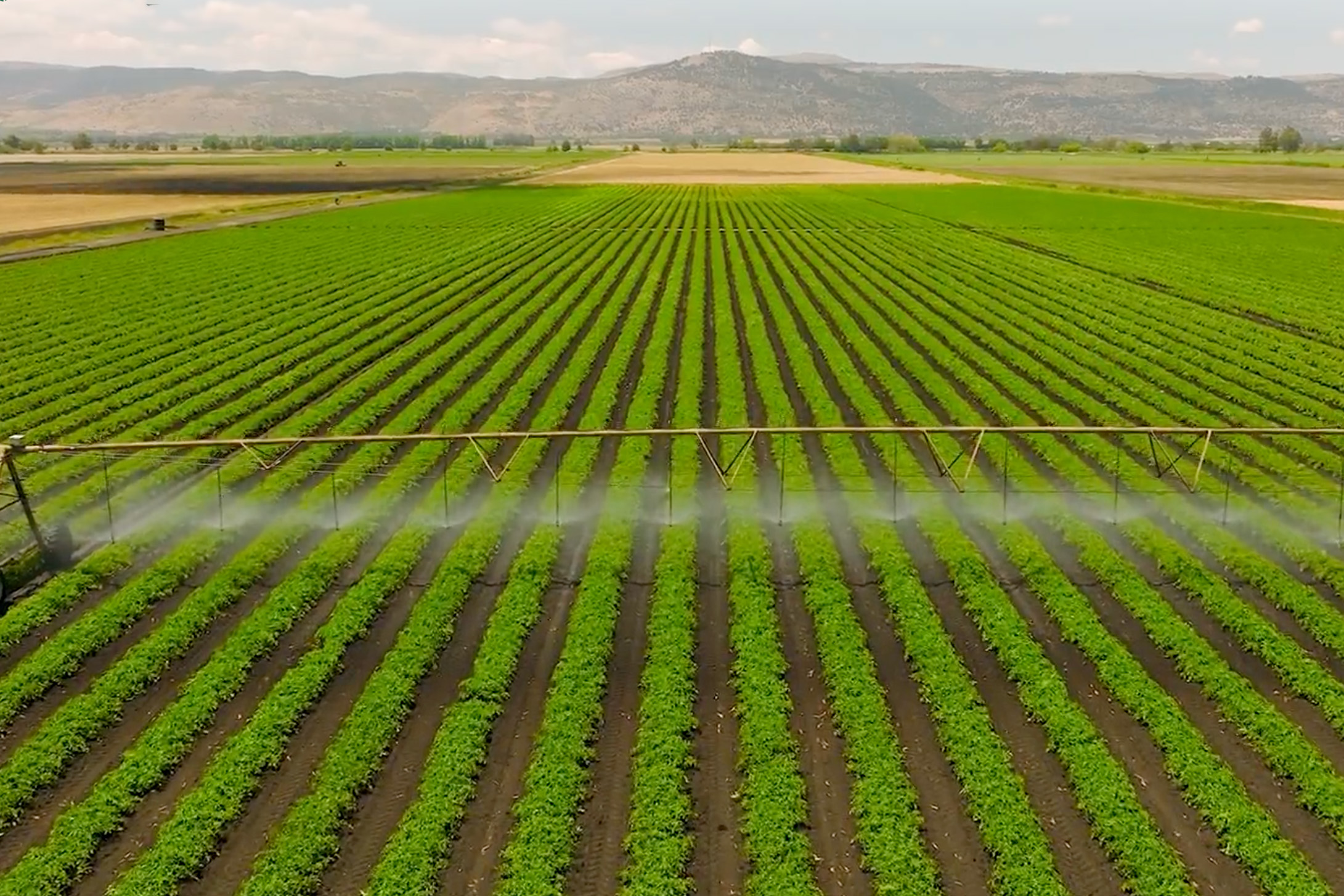 MIT développe des solutions durables pour la protection des cultures agricoles.