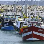 Le Conseil d&rsquo;État critique la France pour son manque de politique maritime cohérente.