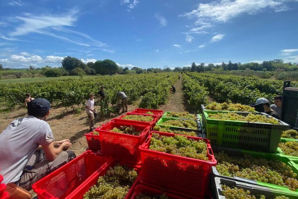 Nouvelles formations en fleuristerie, viticulture et jardinage à Agricampus Var, Hyères et Arcs.