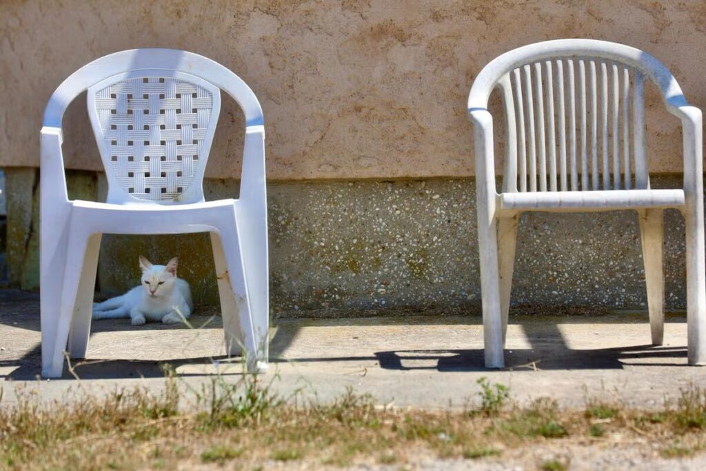Chaleurs persistantes dans le Var : point météo pour le week-end à venir