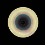 Hubble découvre une énigme atmosphérique sur Saturne à six côtés au nord et dix au sud.