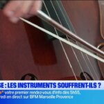 Sécheresse : les instruments agricoles en péril dans plusieurs régions touchées.