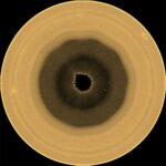 Des astronomes découvrent une structure nuageuse mystérieuse en forme de décagone au pôle sud de Saturne.