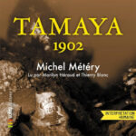 Tamaya 1902 : Exploration des épaves maritimes et de leur héritage historique.