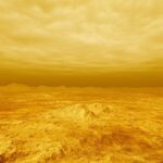 Des molécules du vivant détectées sur Vénus relancent la recherche sur la vie extraterrestre.