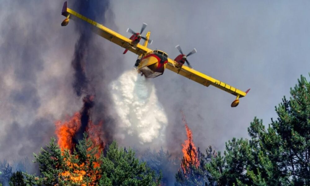 Incendies de forêts : risque extrême signalé dans six provinces canadiennes