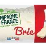 Rappel Consommateur – Détail BRIE CDF FP 25GX100 et BRIE CDF FP 30GX100 Campagne de France
