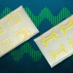 MIT transforme des bactéries en transistors vivants pour des applications électroniques.