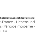 Lichens indigènes des Hauts-de-France non revus sur 25 km² en période moderne