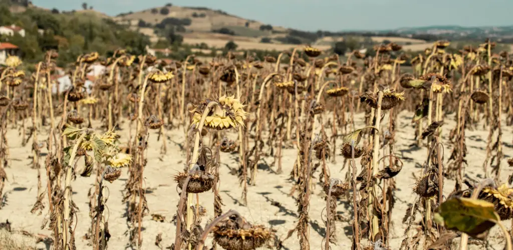 Agriculture française : appel à agir pour éviter un basculement imminent du secteur.