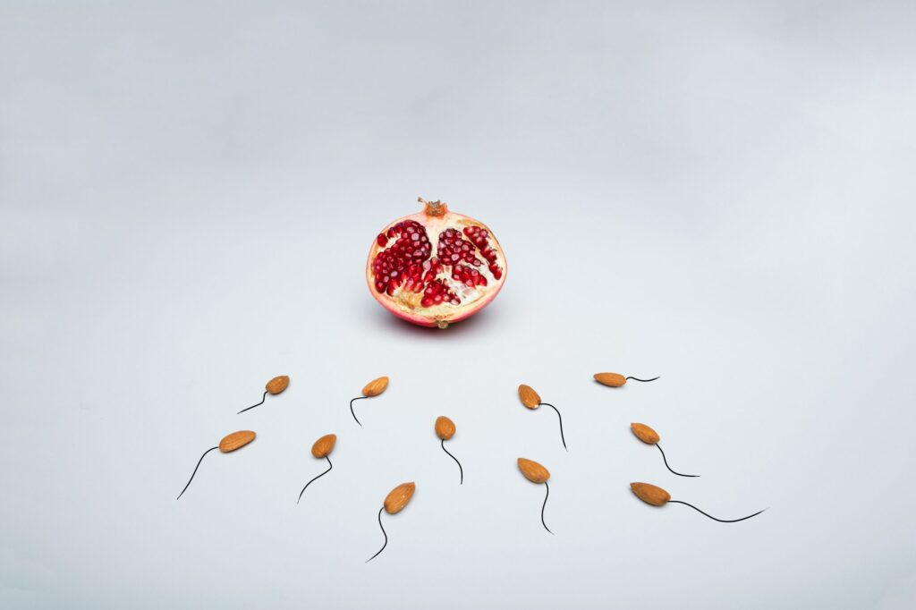 Des recherches révèlent que les spermatozoïdes ne fécondent pas sans gravité terrestre.