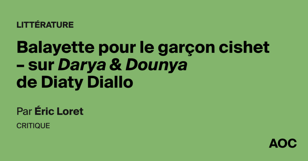 Darya et Dounya de Diaty Diallo : une exploration des normes de genre au sein des jeunes garçons cishet.