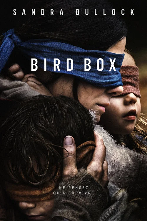 Bird Box : où regarder ?