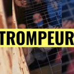 Faux visuels circulent sur le sauvetage de 163 enfants disparus en Floride.