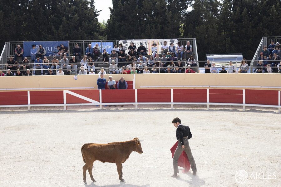 Feria du Riz : l’Espace toros, lieu de formation des toreros à Arles