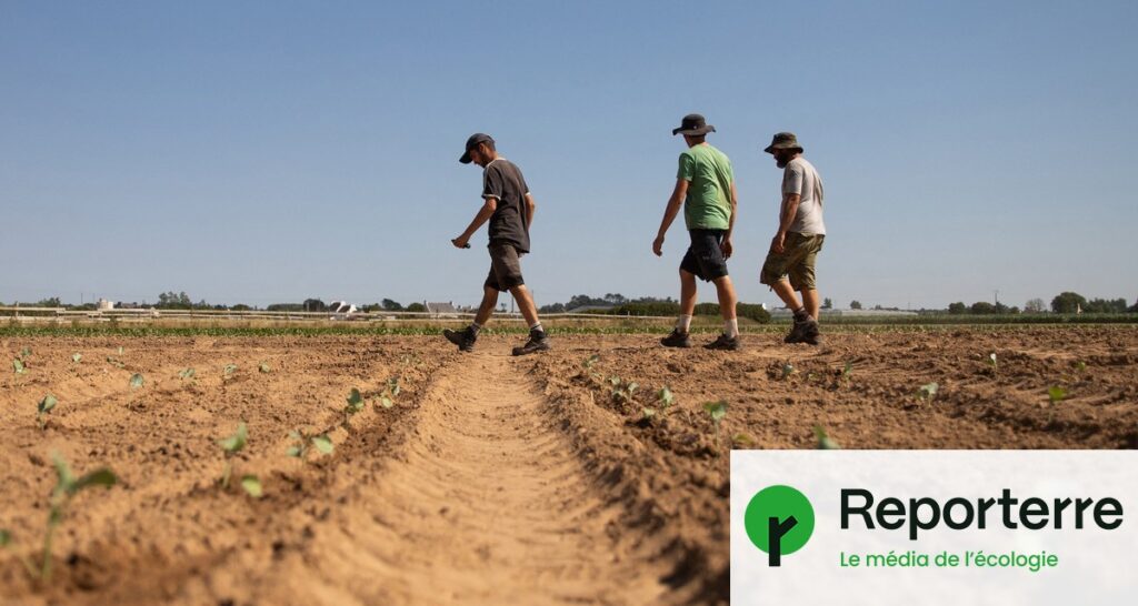 Plan d’urgence agricole : la ministre exclut plus de 80 % des paysans du dispositif