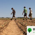 Plan d&rsquo;urgence agricole : la ministre exclut plus de 80 % des paysans du dispositif