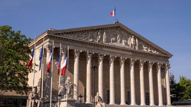 Les députés socialistes proposent une nationalisation temporaire de Fibre Excellence pour sauver l’entreprise.