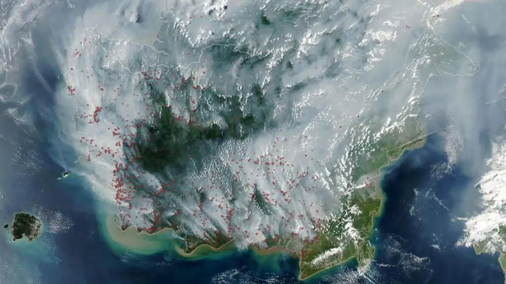 Des feux souterrains dangereux en Indonésie menacent l’écosystème local.