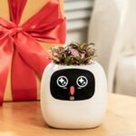 Le pot connecté Ivy Gen 2 disponible à 59,99 € pour les consommateurs en France.