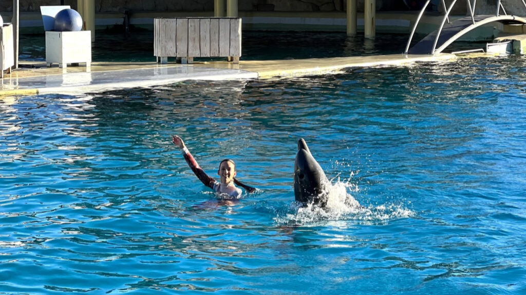 Sea Shepherd identifie des sites en Méditerranée pour un sanctuaire marin à Marineland