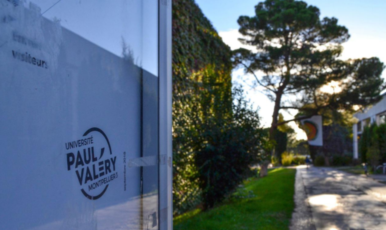 Vague de suicides à l’Université Paul-Valéry : la présidente Anne Fraïsse face à la crise.
