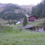 Un chasseur en Suisse abat un cheval par erreur, son permis de chasse retiré.