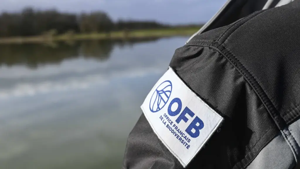 Budget 2027 : réductions d’effectifs chez les opérateurs de la transition écologique en France