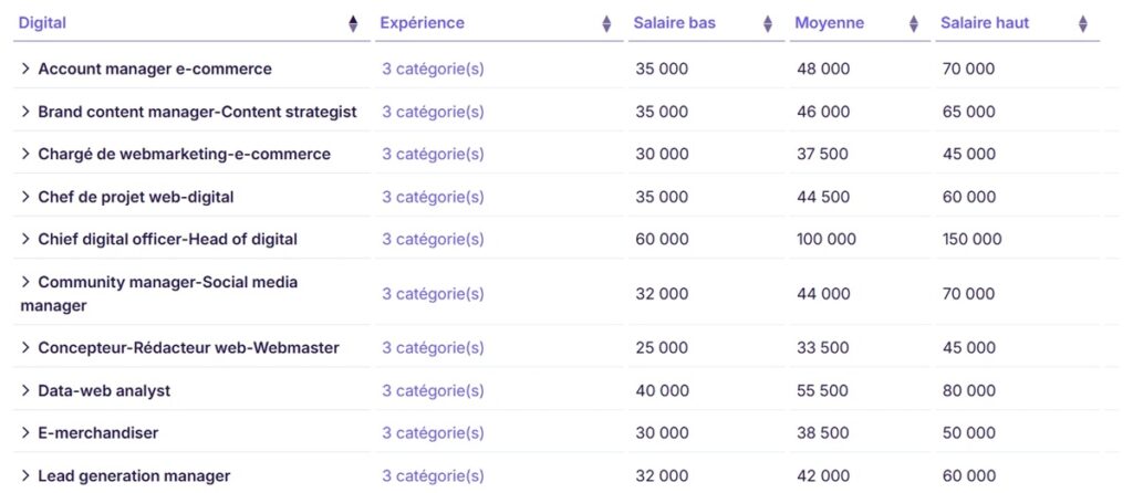 Salaires prévus pour les professionnels du digital et du marketing en France en 2027